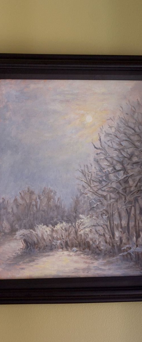 First Snowfall, Skokie Lagoons by John Fleck