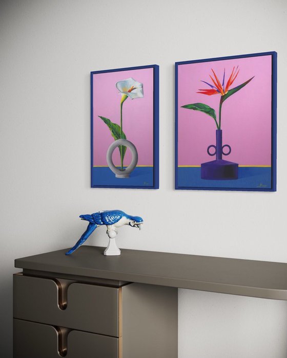 Still life - strelitzia flower