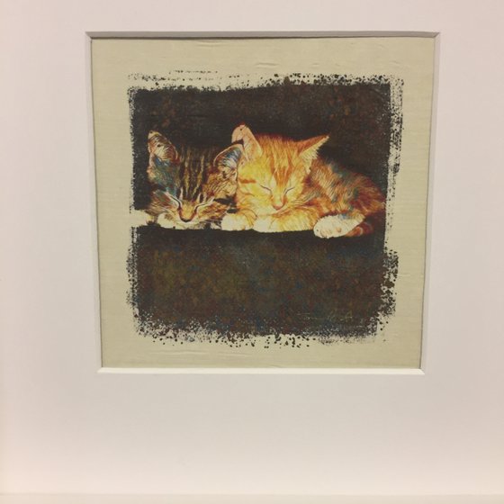 Watercolour on silk - 'Kittens'