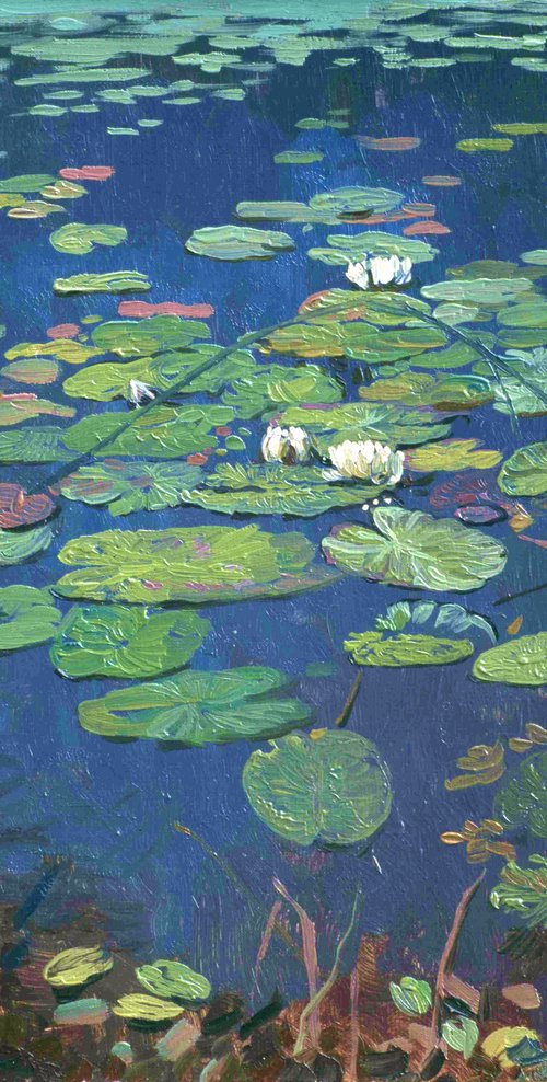 Water Lilies by Simon Kozhin