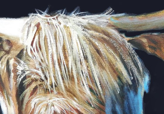 Highland cow painting, made in Scotland art