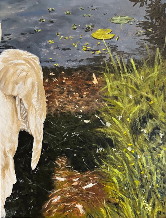 Swans at the Lake (50x40 cm)