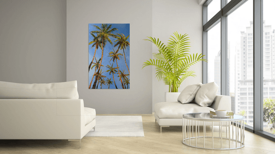 Coconut Palm Trees