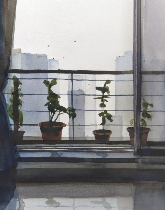 Plantation of solace