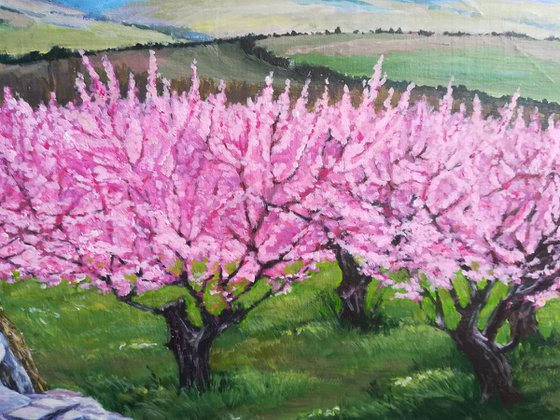Among the blooming peach trees