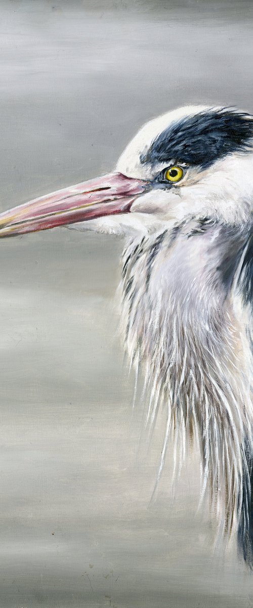 Grey Heron by Una Hurst