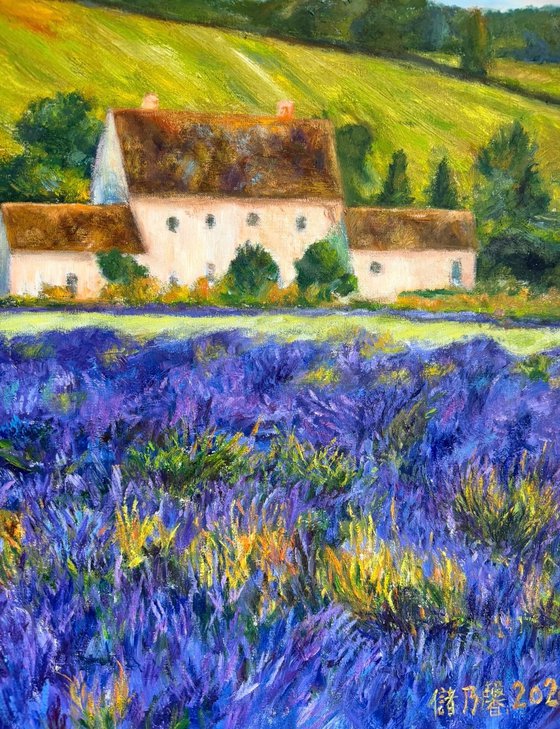 The Little Waltz in Purple