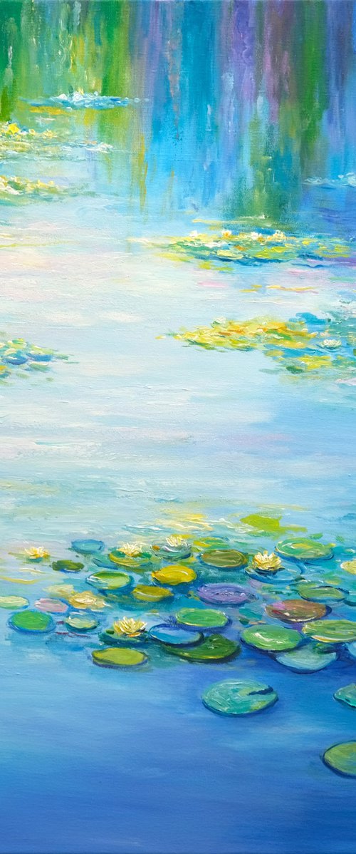Water Lilies Pond by Behshad Arjomandi