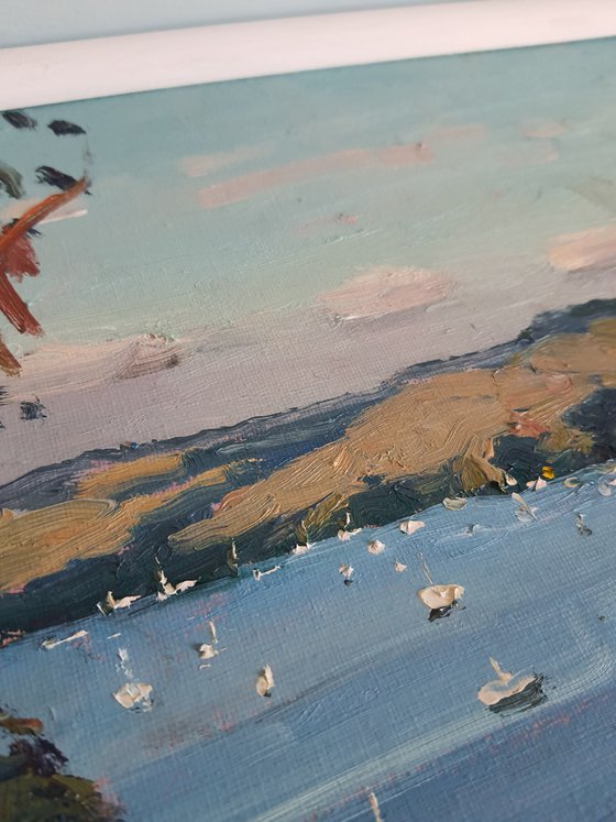 Salcombe Estuary from Overbeck's
