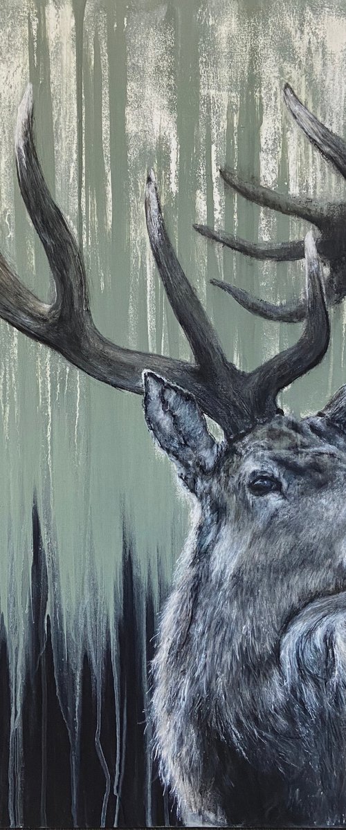 Green Stag by Paul Hardern