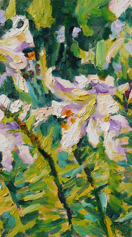 White lilies (etude) original painting by Dima Braga