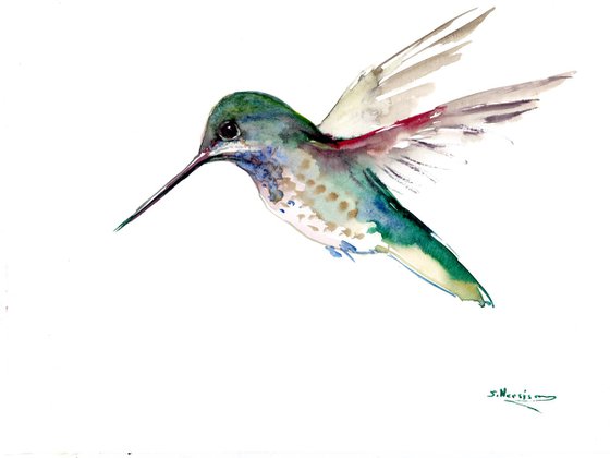 Hummingbird