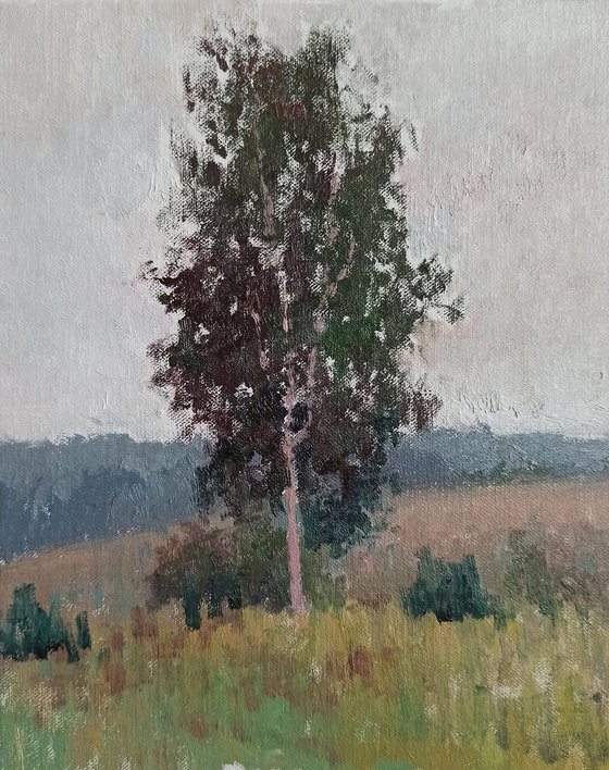 Lonely birch