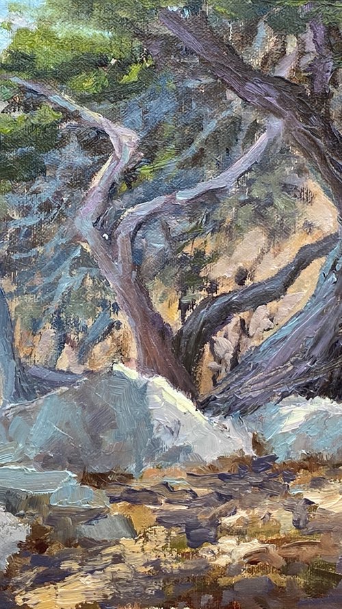 Seascape With Windblown Cypress by Tatyana Fogarty