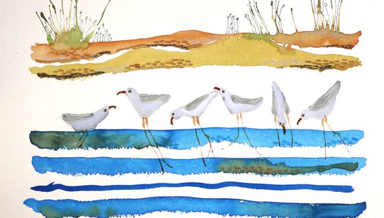 Seagull retreat