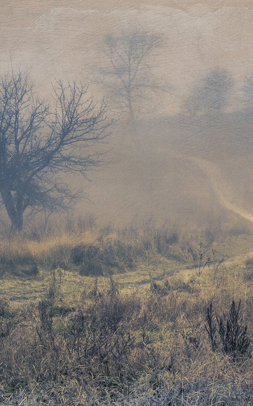 Misty path. by Valerix