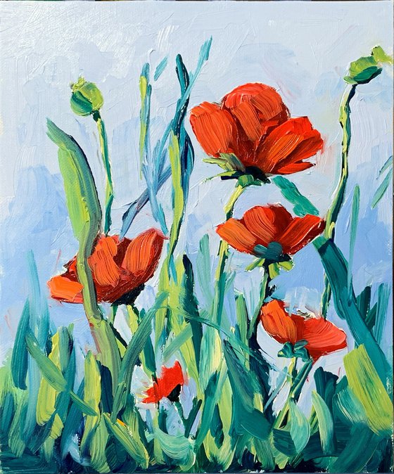 Poppies field.