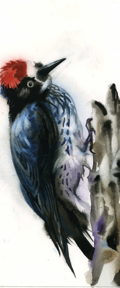 red headed wookpecker by Alfred Ng