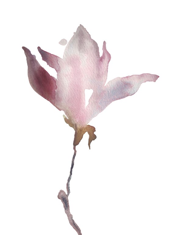 Magnolia No. 2