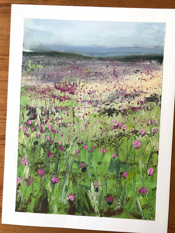 Summer Field, Cornwall