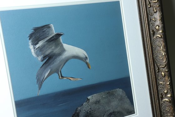 Voice of the Sea Series - Seagull in Flight,  Bird Art by Alex Jabore