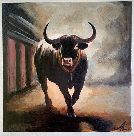 Spanish Bull