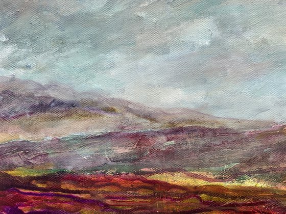 Scottish Heather Landscape