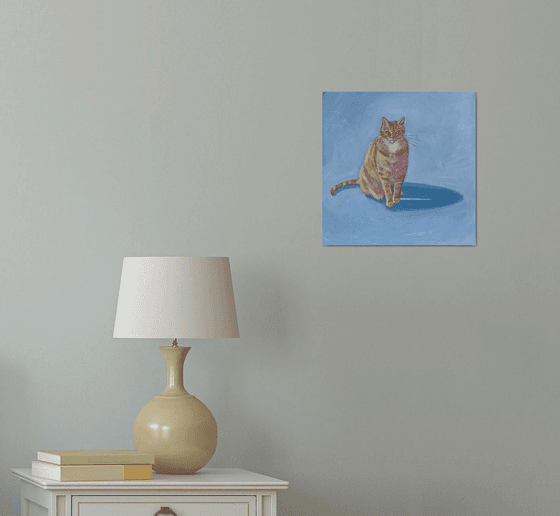 Ginger cat