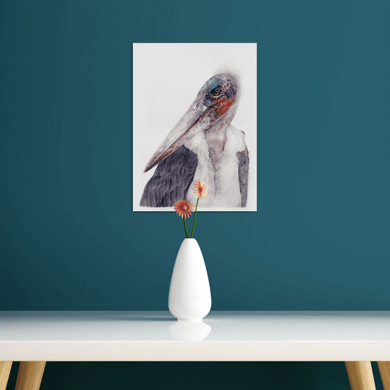 African Marabou stork, bird portrait