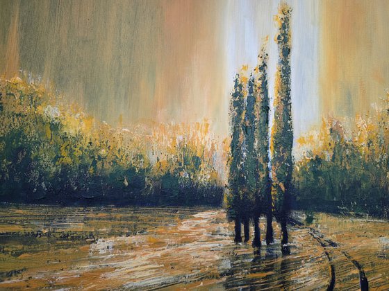 Autumn Illuminations