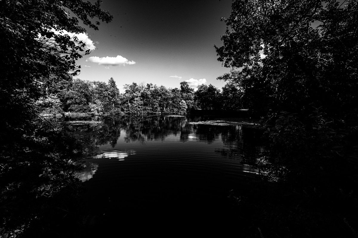 Landscape Photograph By David Huntzinger, 28 X 17, Reflections In G Major, Original Artwork