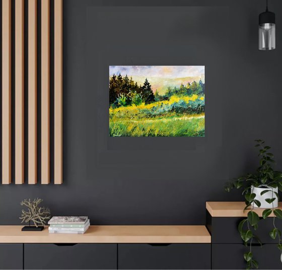 Meadow in my countryside