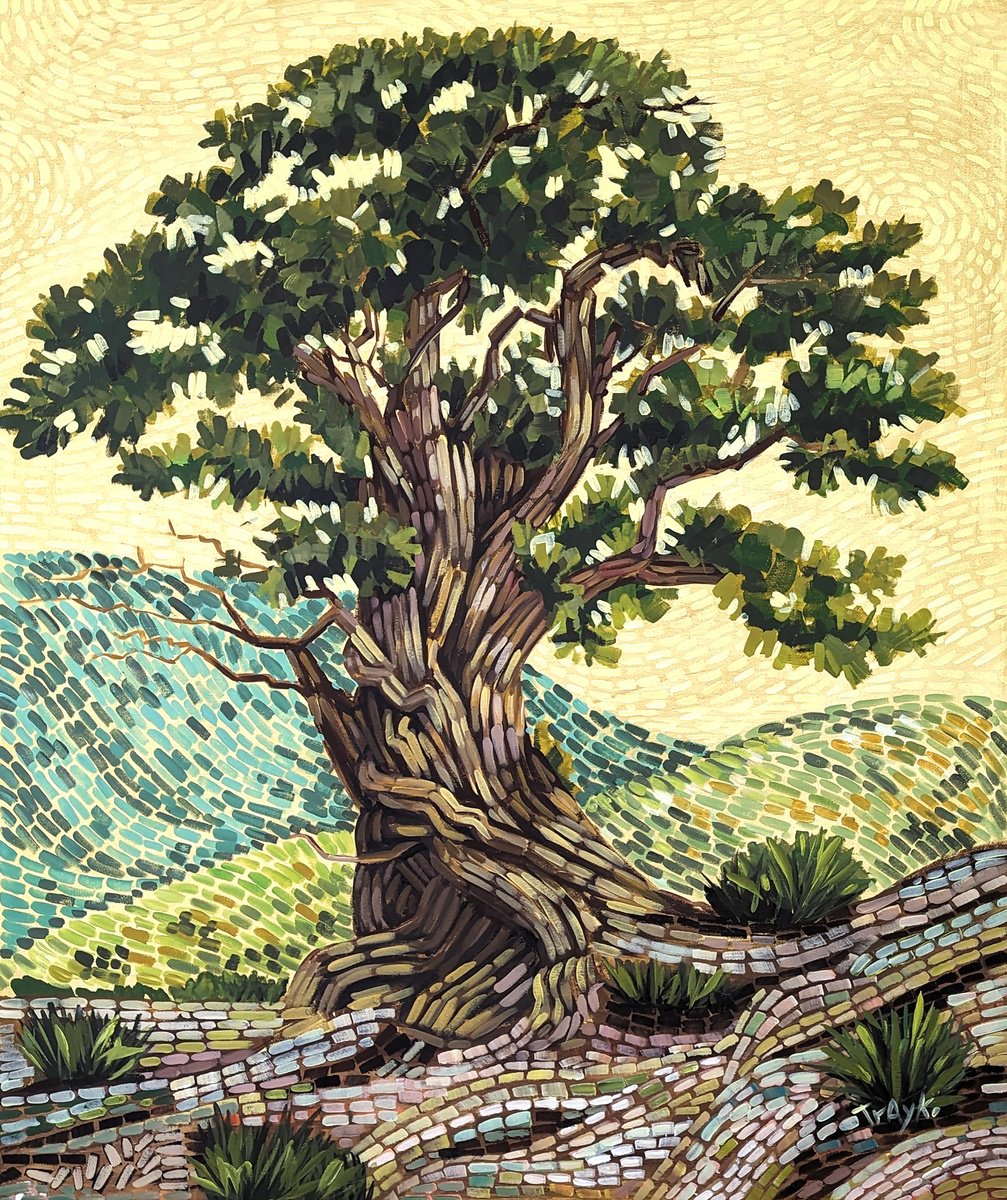  Old Tree By Trayko Popov, 33 X 39, Artwork For Sale On Artfinder