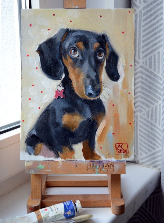 Dachshund