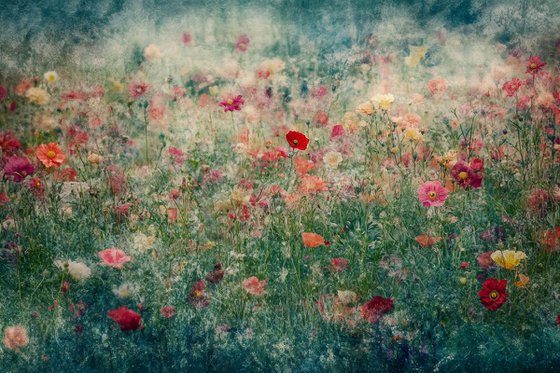 Enchanted Garden II