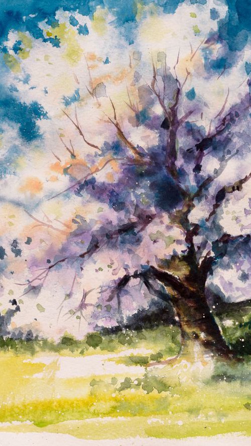 Cherry tree by Eve Mazur