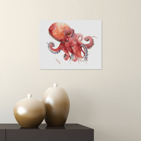 Octopus