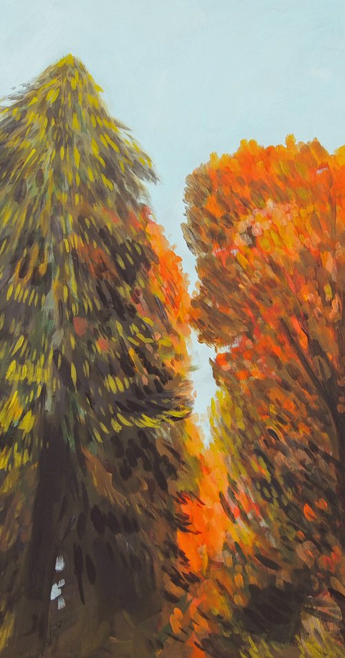 Autumn Trees by Kitty  Cooper