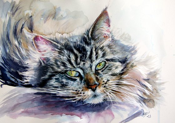 Resting cat at home