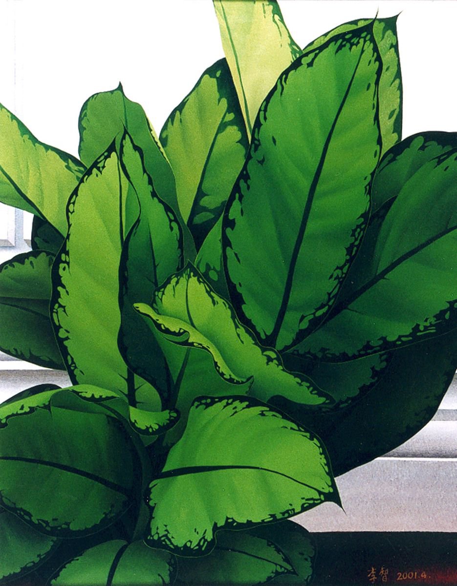 Abstract Oil Painting By Zhi Li, 31 X 39", Creative Work 06 [The White Wall Of Amid Bang], Original Artwork