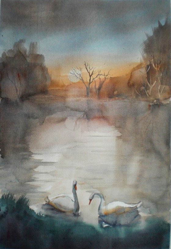 Swans