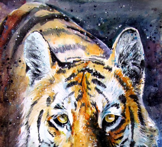 Collarwali Mataram II