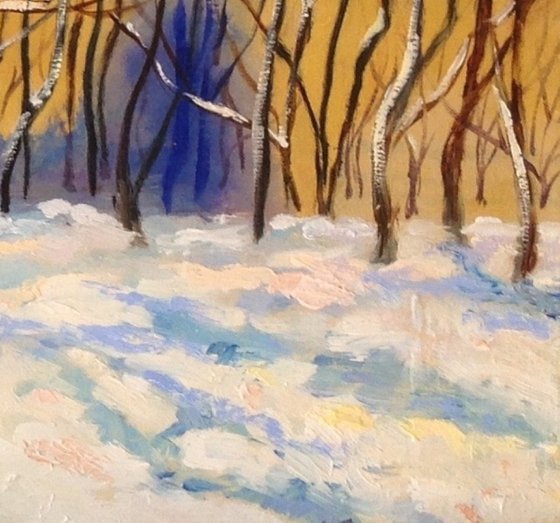 Poplars on a sunny winter day