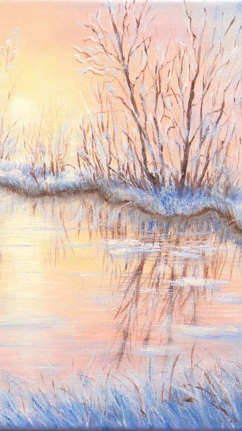 Winter sunset by Ludmilla Ukrow