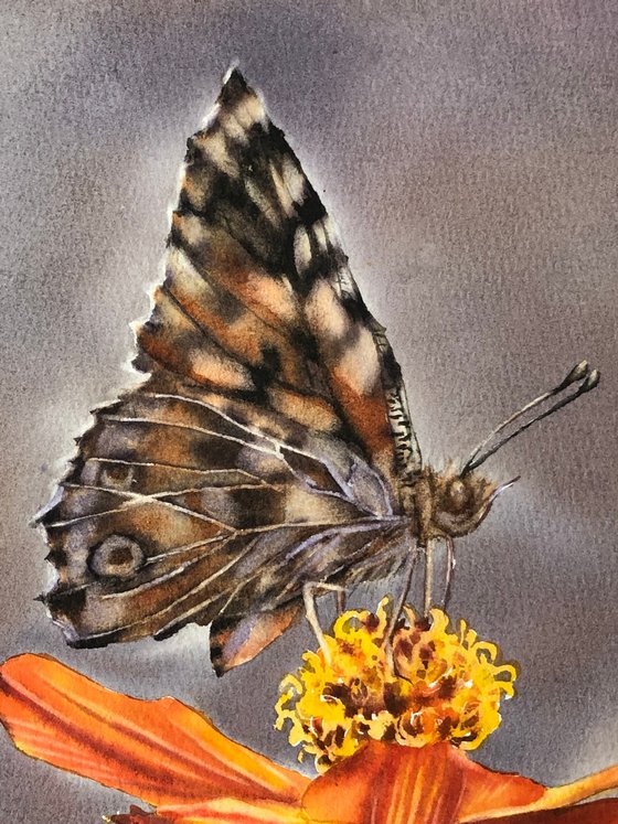 Butterfly on flower