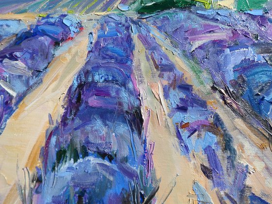 "  lavender "