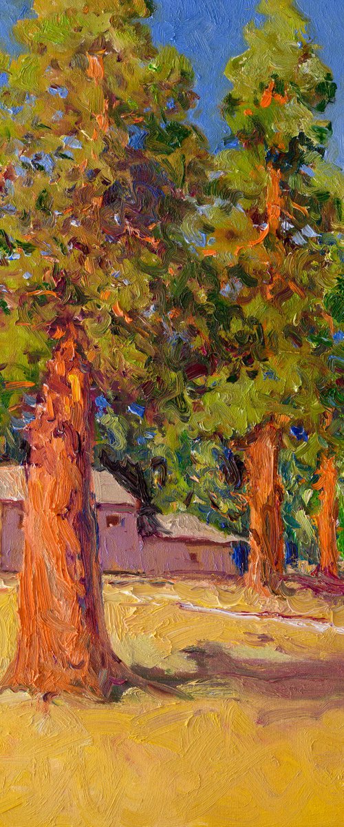 Sequoia Forest, Sunny Day by Suren Nersisyan