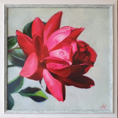 "Passionate. "  rose flower  liGHt original painting  GIFT (2021) by Anna Bessonova (Kotelnik)