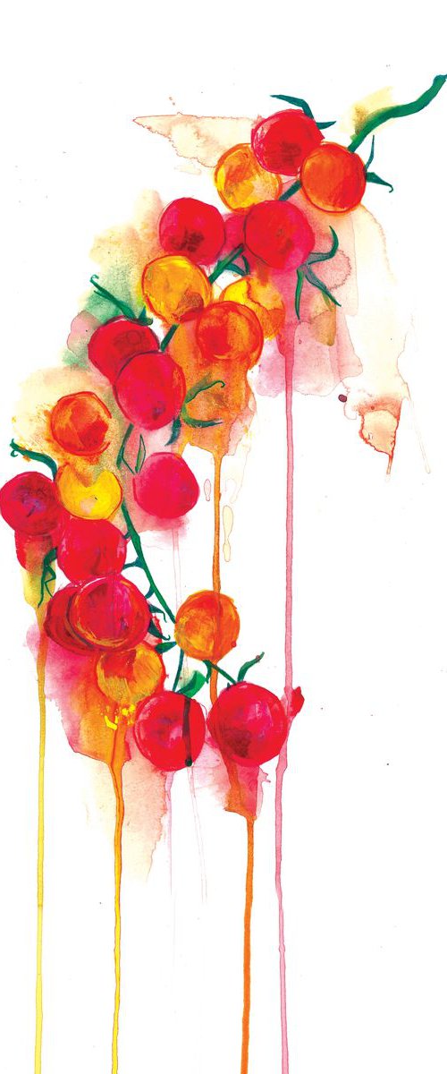 Tomato Vine by Gavin Dobson