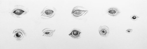 Sight. Original pencil drawing. by Yury Klyan